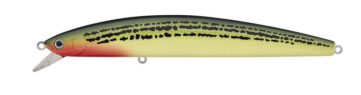 SALT PRO MINNOW (FLOATING)