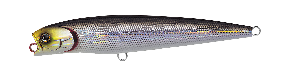SALTIGA DORADO PENCIL