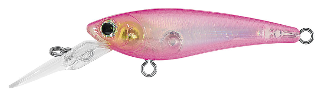 SC SHAD