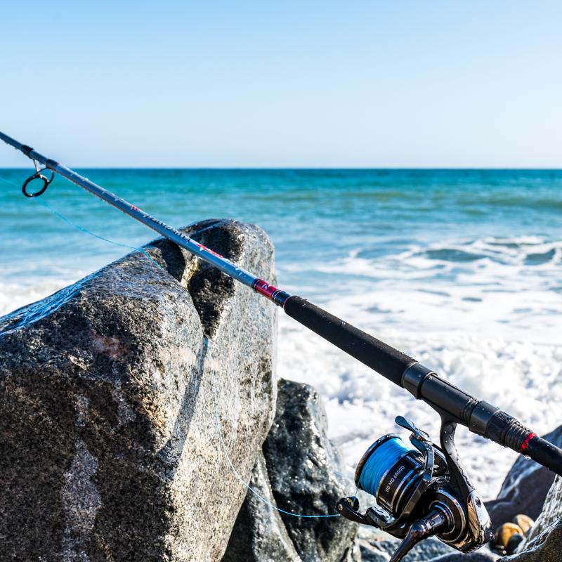 TEAM DAIWA SURF RODS